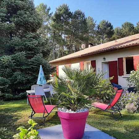 Gite Climatise L'Oree Des Landes Proche Center Parcs Villa Pinderes Exterior foto