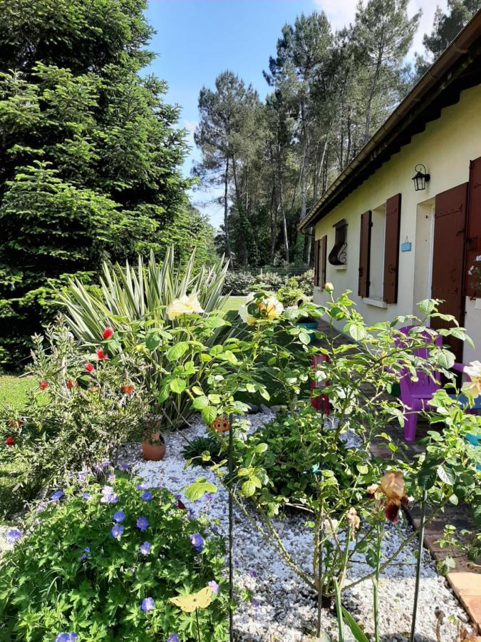 Gite Climatise L'Oree Des Landes Proche Center Parcs Villa Pinderes Exterior foto