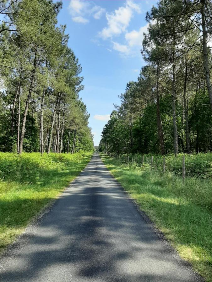 Gite Climatise L'Oree Des Landes Proche Center Parcs Villa Pinderes Exterior foto