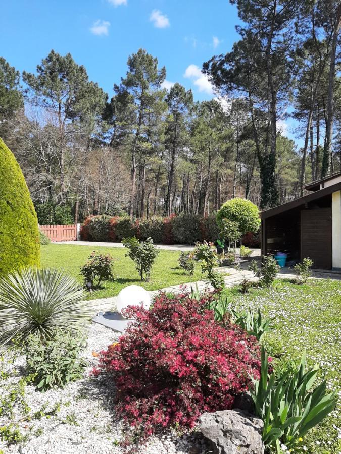 Gite Climatise L'Oree Des Landes Proche Center Parcs Villa Pinderes Exterior foto