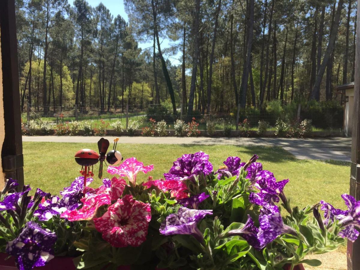 Gite Climatise L'Oree Des Landes Proche Center Parcs Villa Pinderes Exterior foto