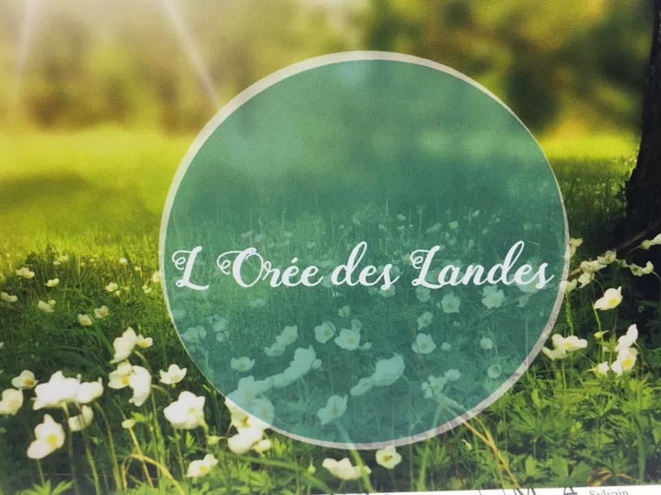 Gite Climatise L'Oree Des Landes Proche Center Parcs Villa Pinderes Exterior foto