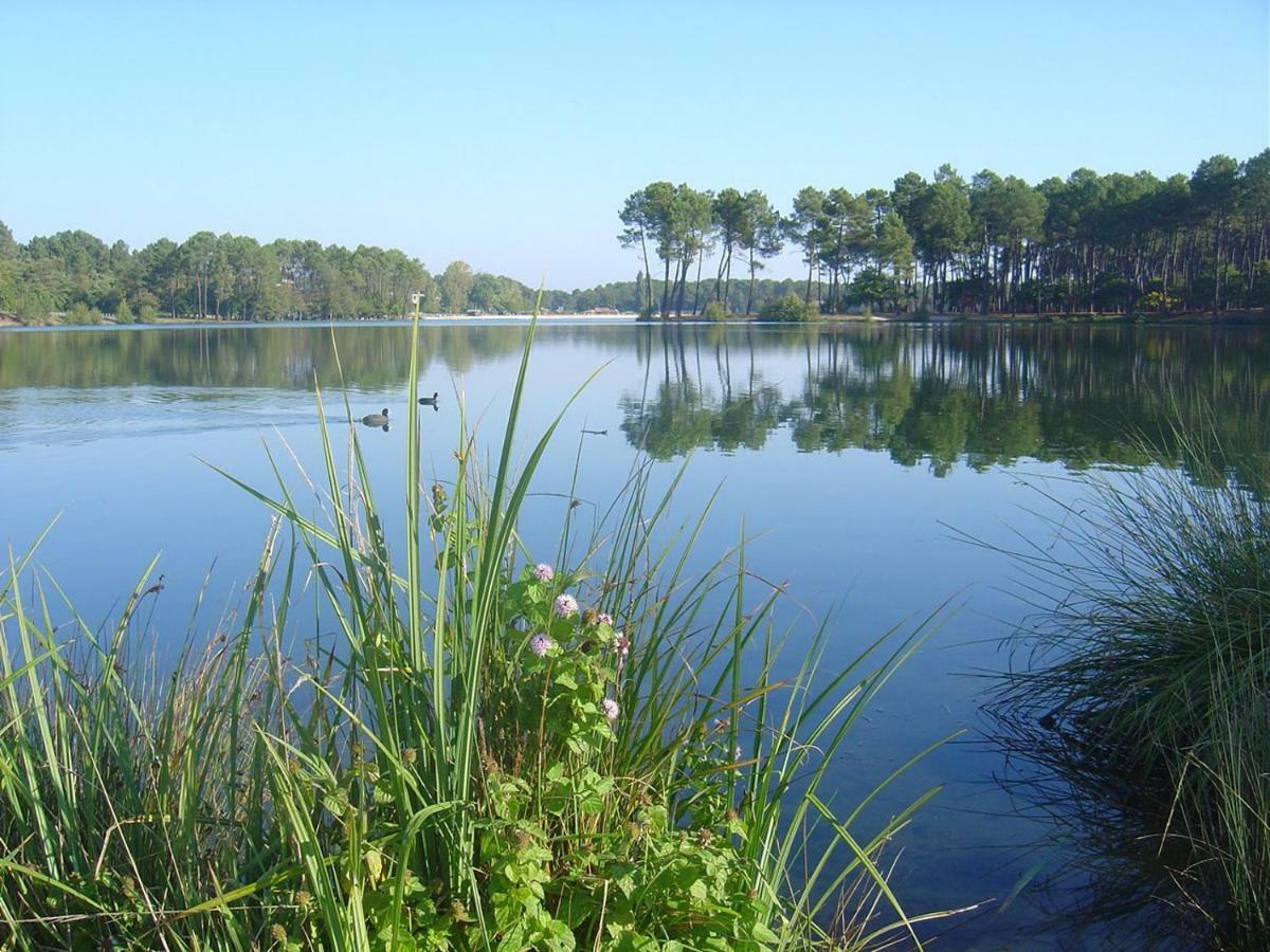 Gite Climatise L'Oree Des Landes Proche Center Parcs Villa Pinderes Exterior foto